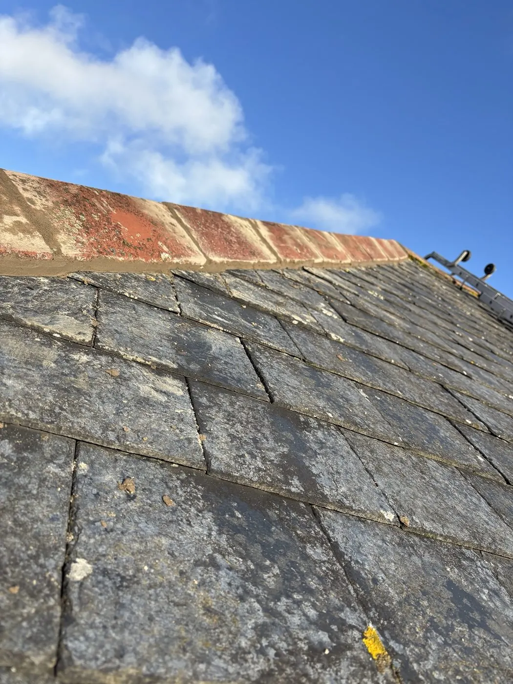 Roof Cleaning & Moss Removal Plymouth